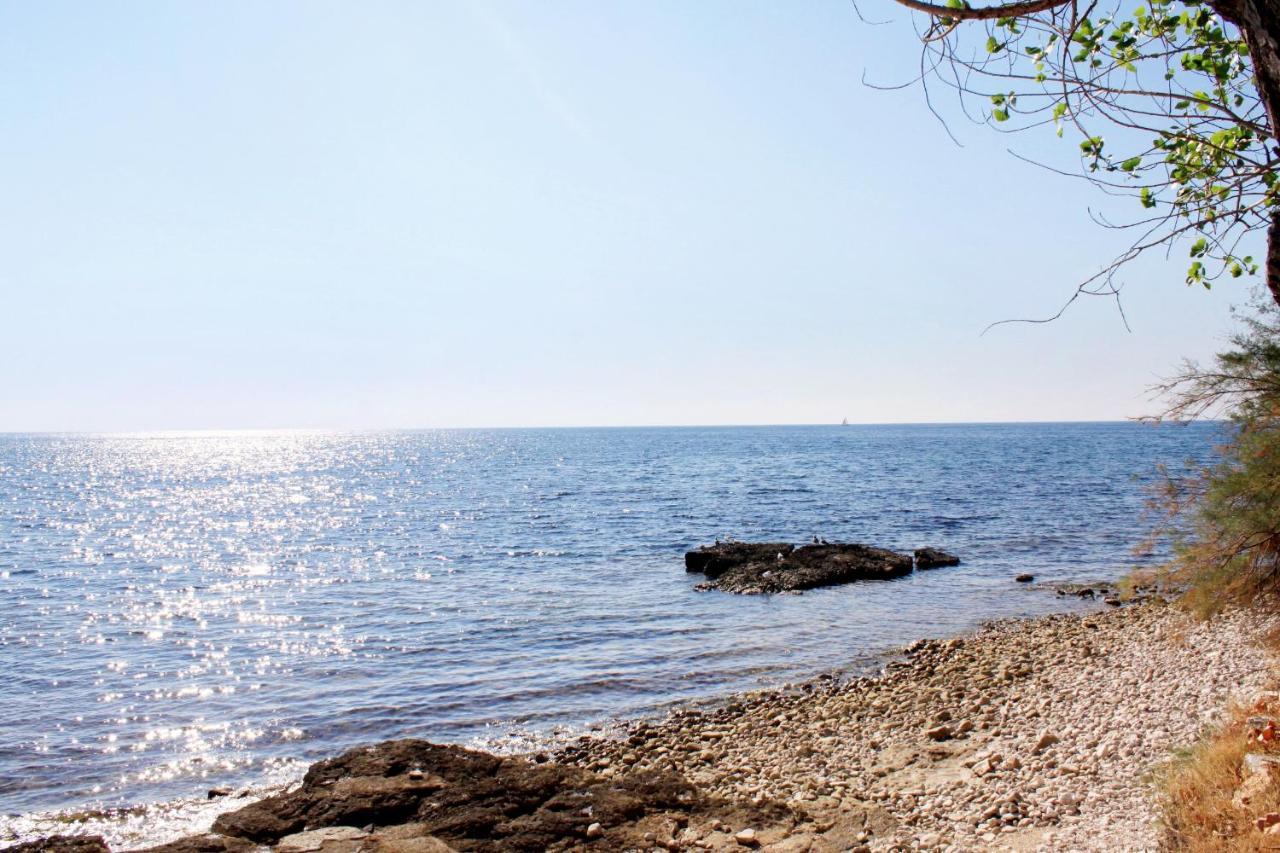 Holiday House With A Parking Space Babici, Umag - 13795 Екстер'єр фото